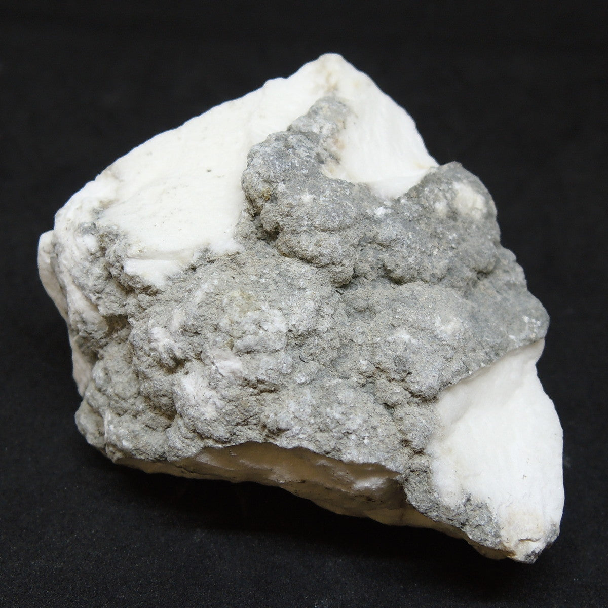 本物 ハウライト 同ロット鑑別済 ハウ石 標本 原石 ティックキャニオン産 アメリカ産