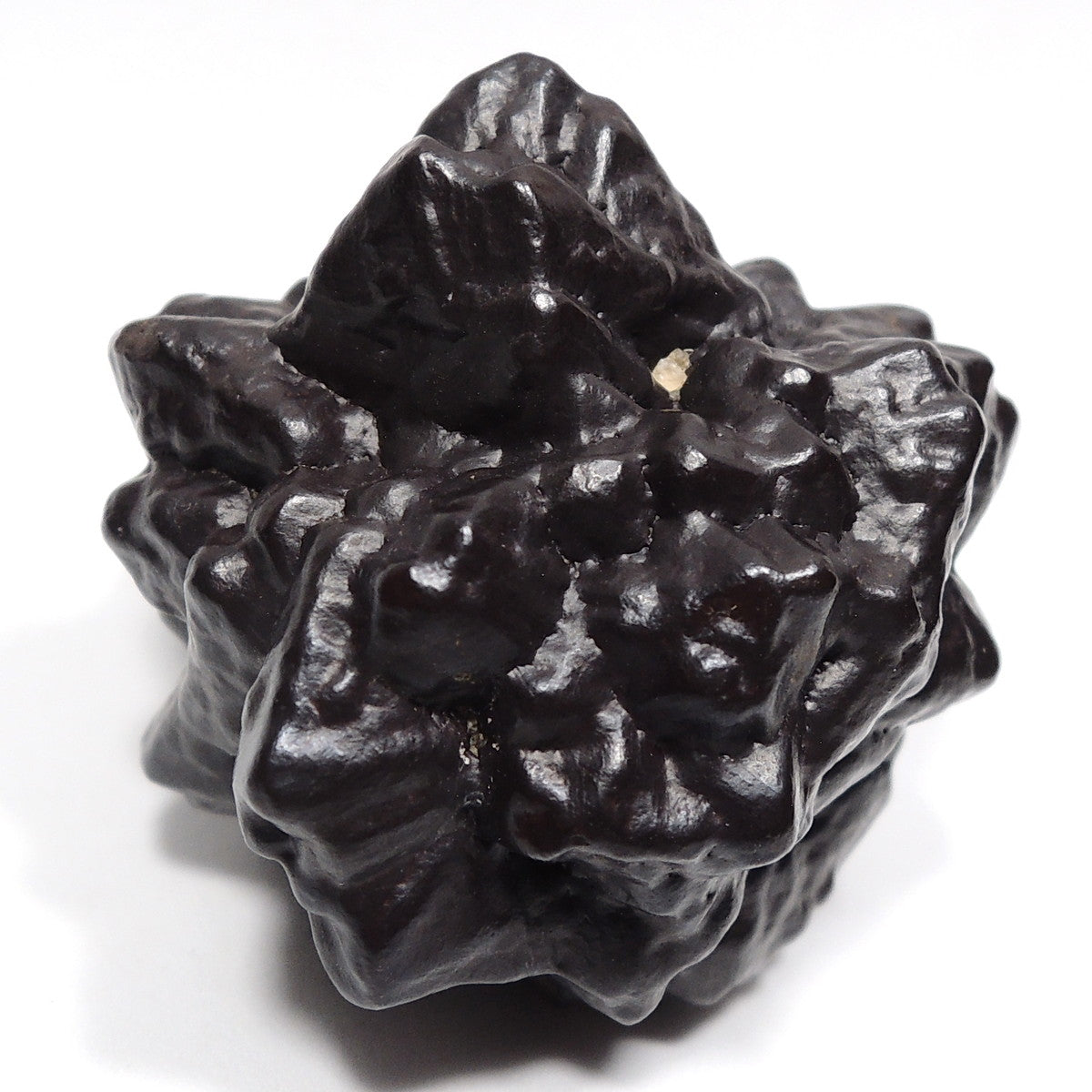 ゲーサイト マーカサイト仮晶 Zストーン ゼットストーン プロフェシーストーン エジプトの星 針鉄鉱 白鉄鉱仮晶 原石