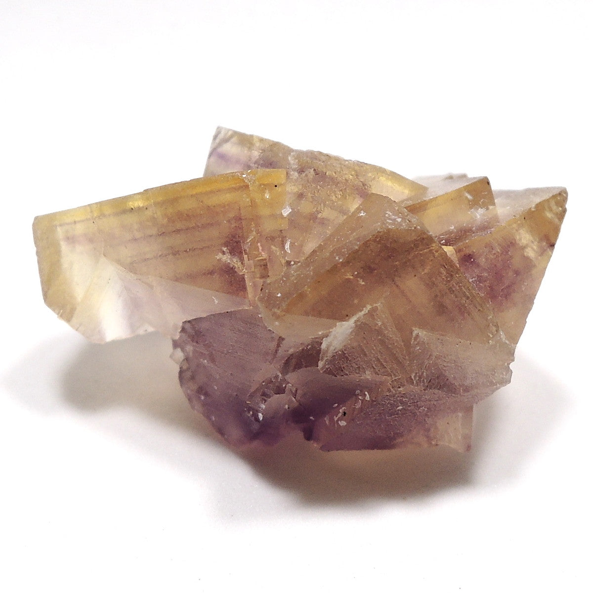 イエローフローライト 2023 Newfound 原石 フローライト パープルゾーニング 蛍石