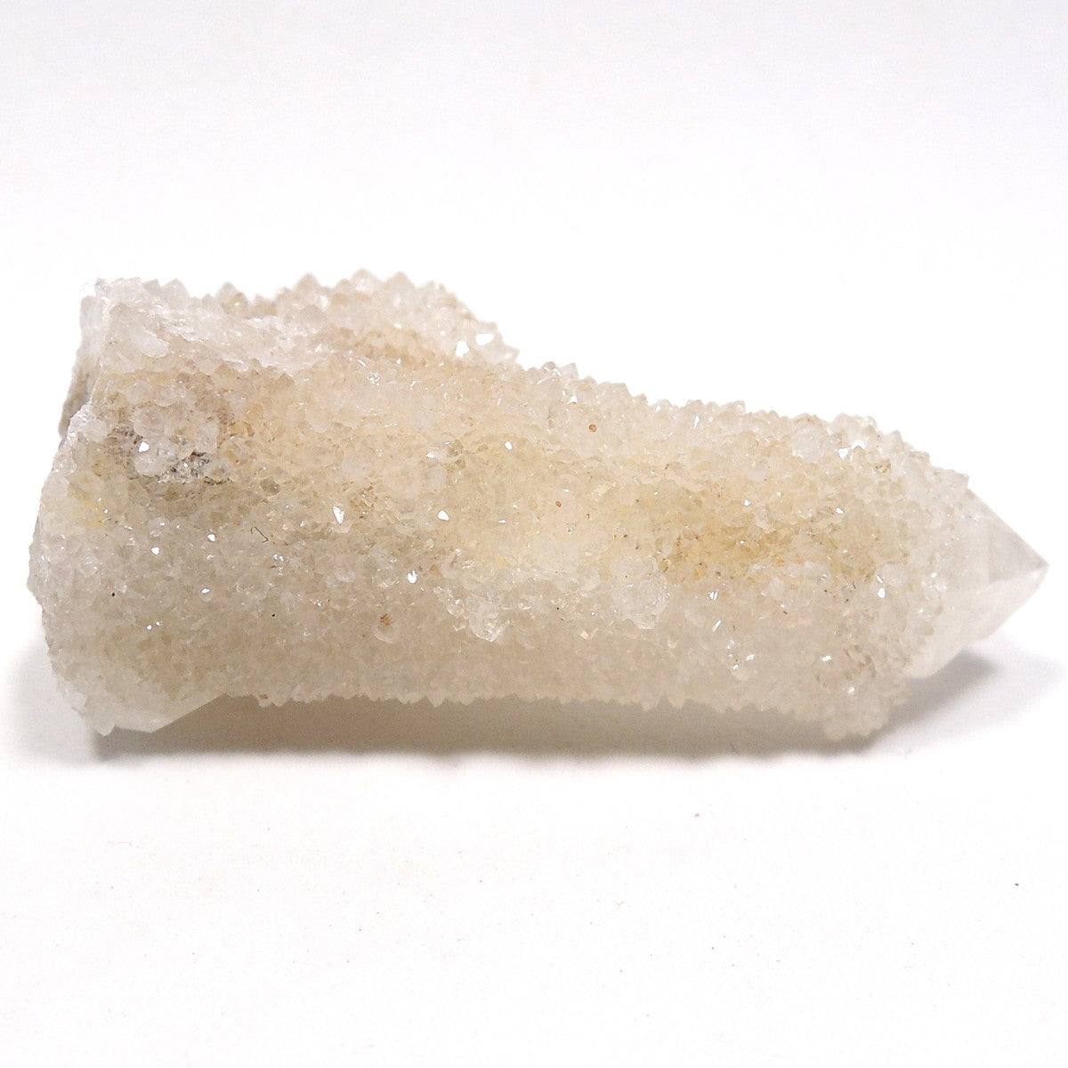 カクタスクォーツ 原石 サボテン水晶 スピリットクォーツ 南アフリカ産