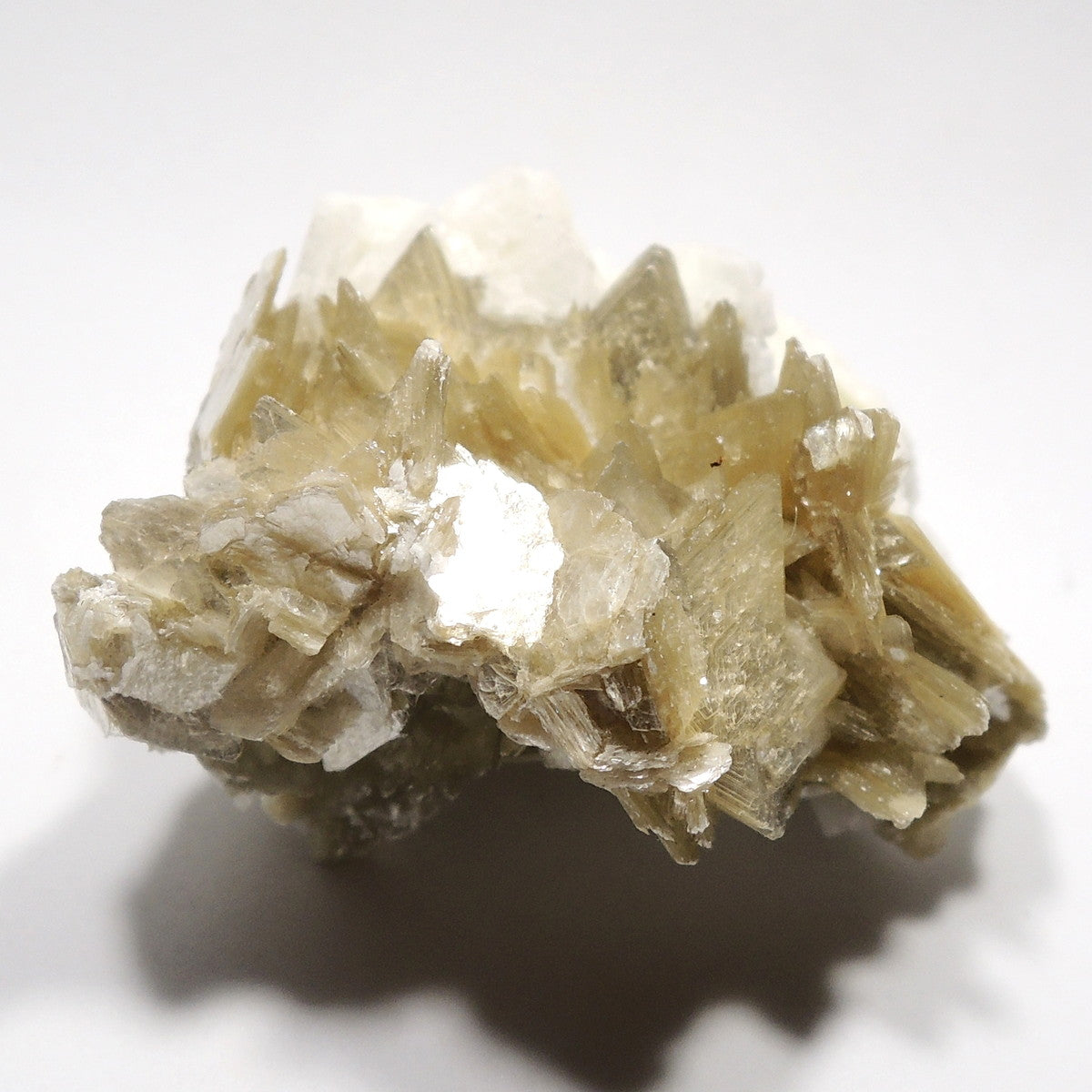 スターマイカ 原石 雲母双晶 白雲母双晶 ブラジル産 モスコバイト