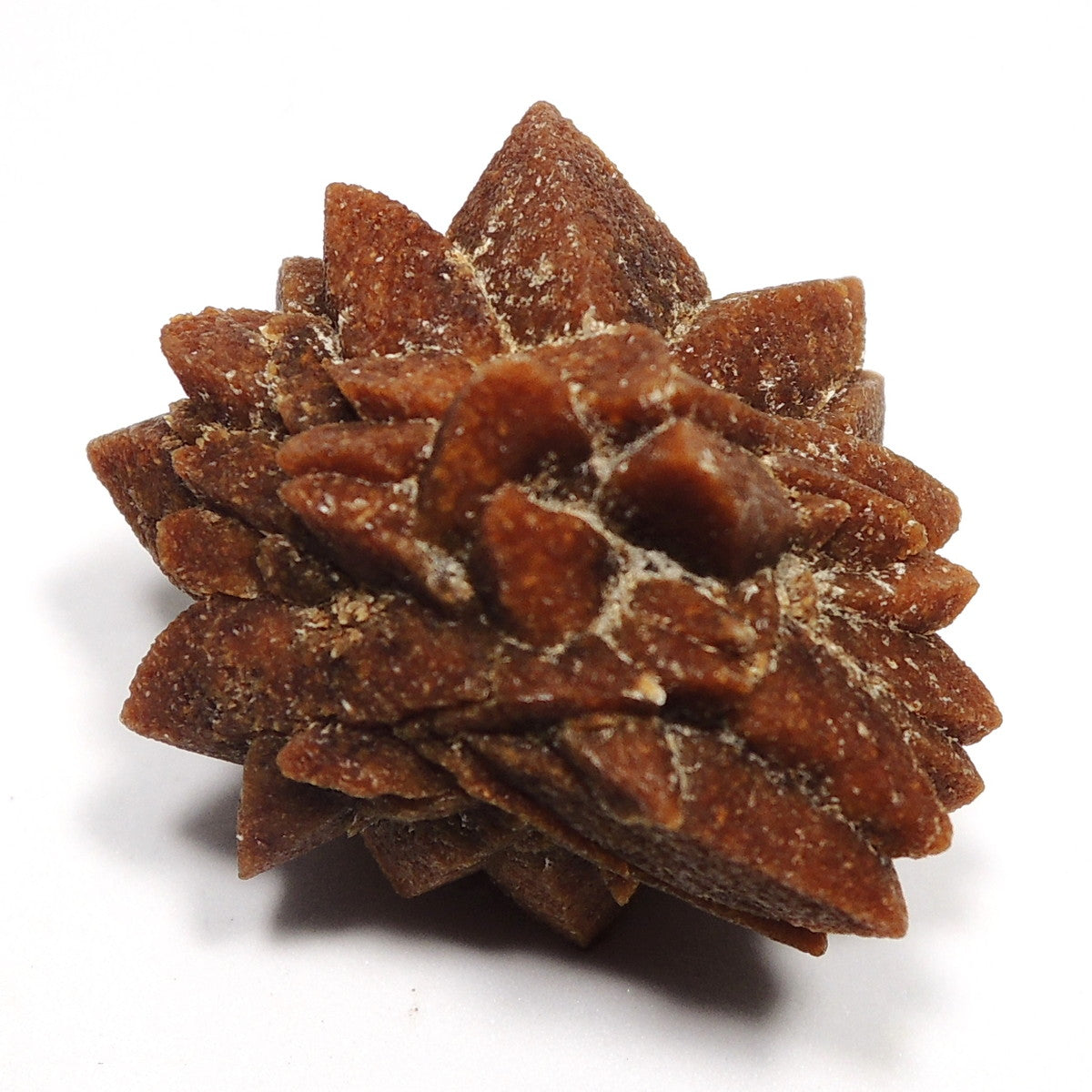 グレンドナイト グレンドン石 原石 玄能石 イカイト仮晶 イカアイト仮晶 ロシア産