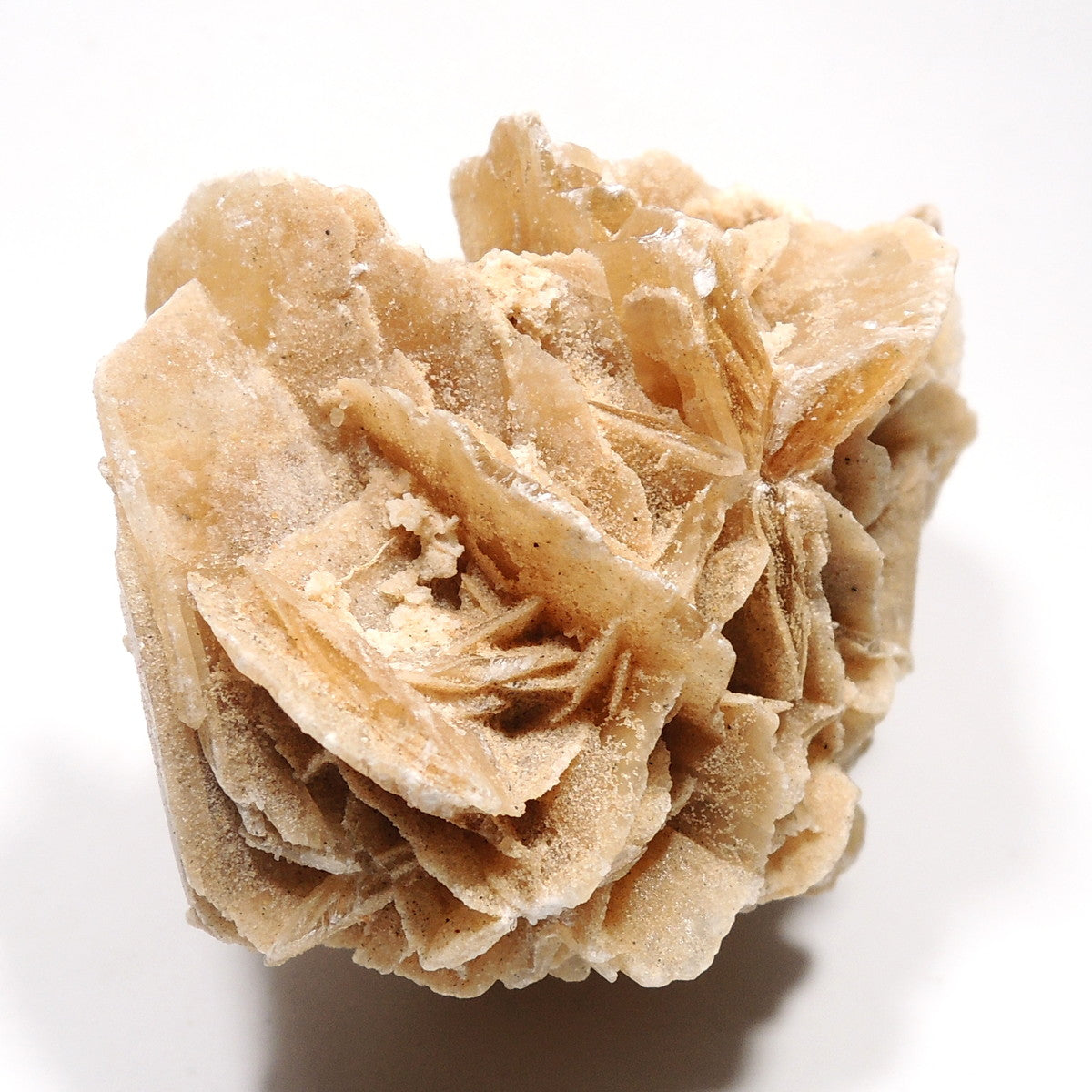 デザートローズ 砂漠の薔薇 砂漠のバラ 原石 チュニジア産 グランデルグオリエンタル砂漠産