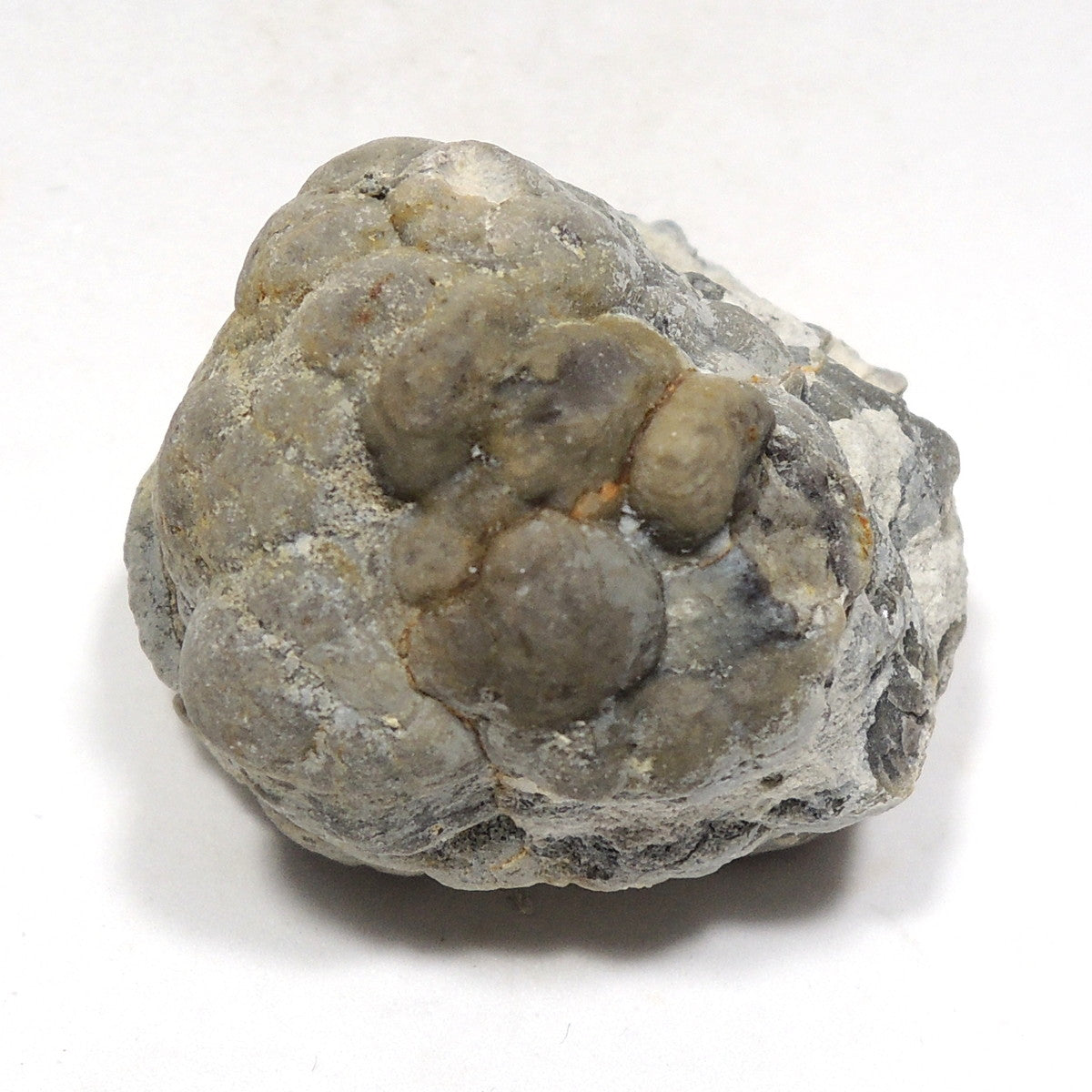 宝坂オパール 原石 遊色なし コモンオパール ホワイトオパール 蛋白石 福島県西会津町宝坂産