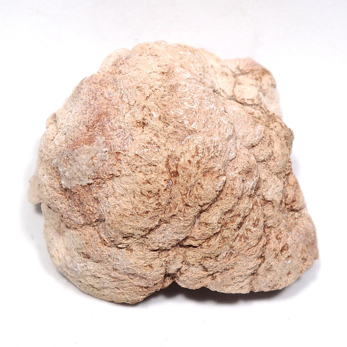 ピンクアメシスト 原石 ピンクアメジスト ローズアメシスト ローズアメジスト 紫水晶 アルゼンチン産