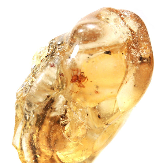 虫入り琥珀 原石 虫入りコーパル コパル 若年琥珀 化石 マダガスカル産