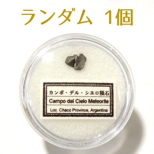 カンポ・デル・シエロ隕石 カンポデルシエロ隕石 1個 ランダム 隕石 メテオライト 鉄隕石 原石 アルゼンチン産