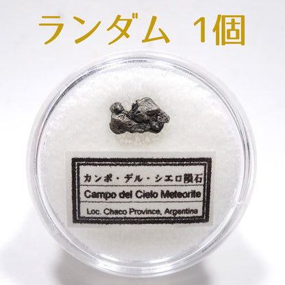 カンポ・デル・シエロ隕石 カンポデルシエロ隕石 1個 ランダム 隕石 メテオライト 鉄隕石 原石 アルゼンチン産