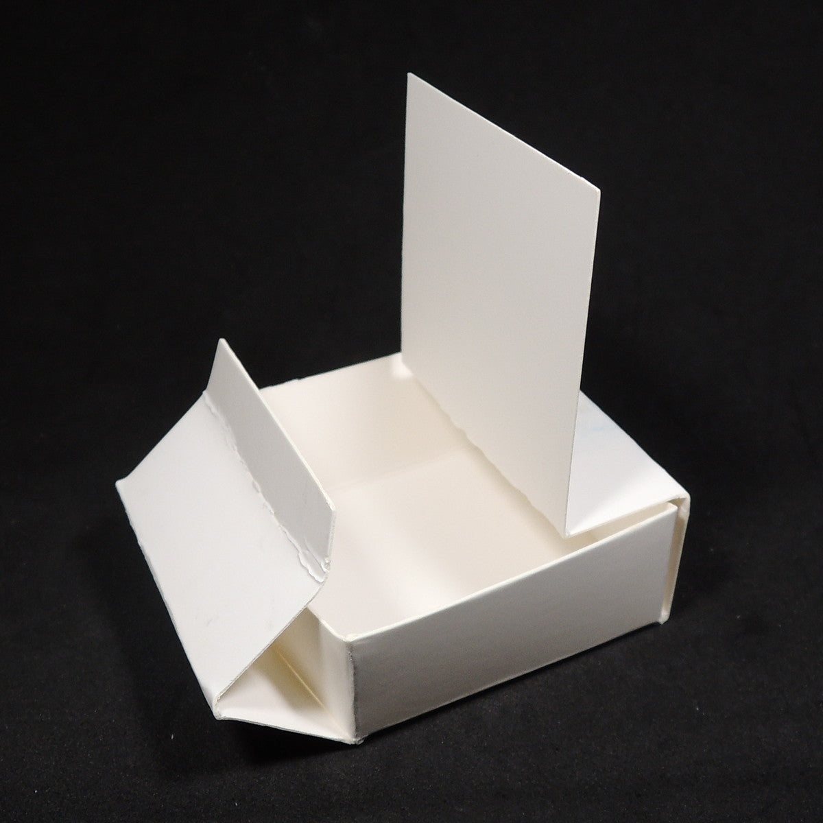 大型標本箱　4箱 大型標本箱 4箱 【公式通販】