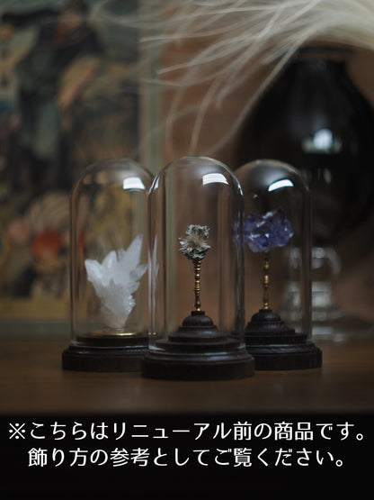 ミネラルホルダー 鉱物標本ケース ドーム型鉱物ケース 鉱物ホルダー 鉱物ケース