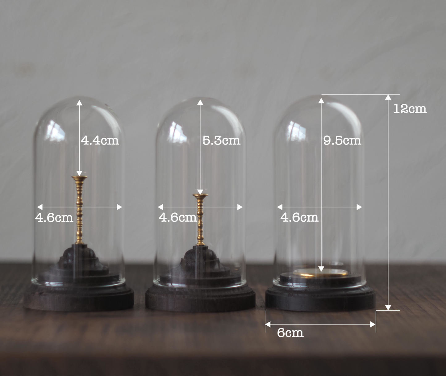 ミネラルホルダー 鉱物標本ケース ドーム型鉱物ケース 鉱物ホルダー 鉱物ケース