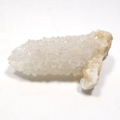 カクタスクォーツ 原石 サボテン水晶 スピリットクォーツ 南アフリカ産