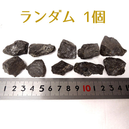 石炭 1個 三池炭鉱産 三池鉱山産 標本用 原石 資料用
