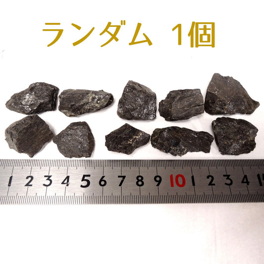 石炭 1個 三池炭鉱産 三池鉱山産 標本用 原石 資料用