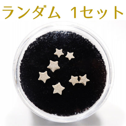 ウミユリ化石 ウミユリ 1セット 7個 ランダム 化石 アメリカ産