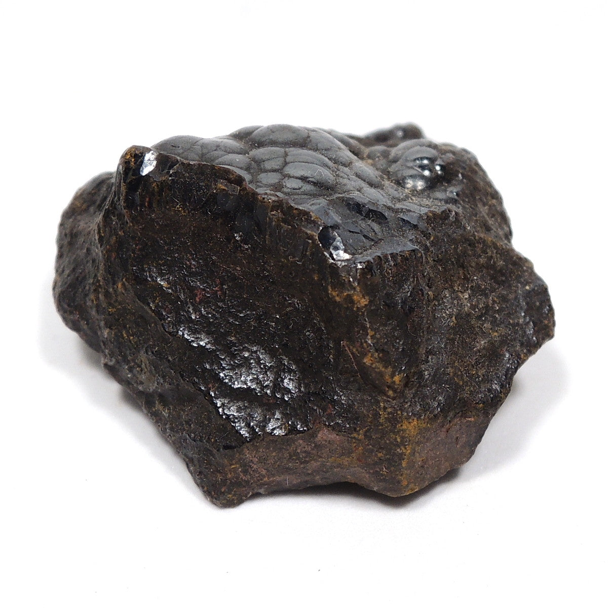 ヘマタイト 腎臓状ヘマタイト 腎臓状赤鉄鉱 赤鉄鉱 ぶどう状ヘマタイト 葡萄状 ブドウ状 原石 モロッコ産