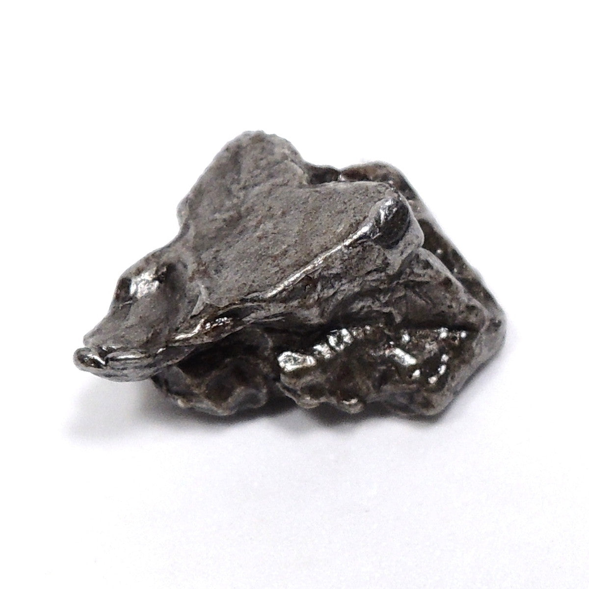 カンポ・デル・シエロ隕石 カンポデルシエロ隕石 隕石 メテオライト 鉄隕石 原石 アルゼンチン産