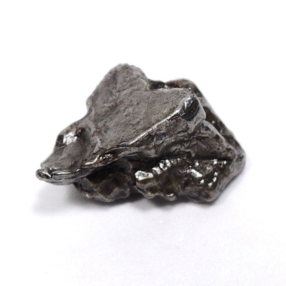 カンポ・デル・シエロ隕石 カンポデルシエロ隕石 隕石 メテオライト 鉄隕石 原石 アルゼンチン産