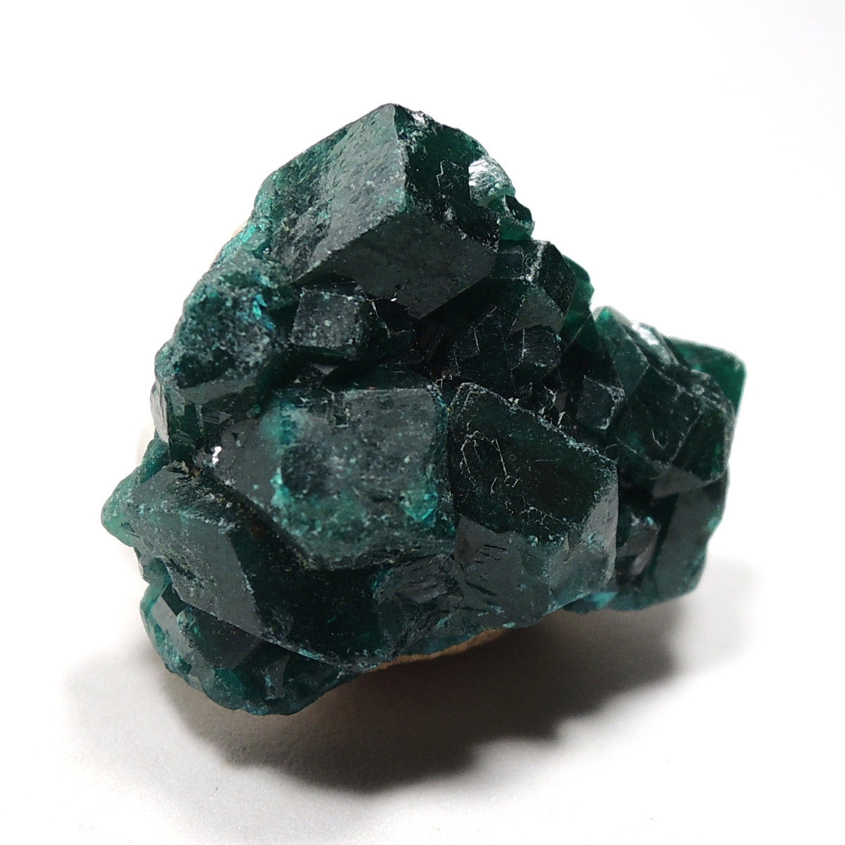 ダイオプテーズ 原石 翠銅鉱 コンゴ産