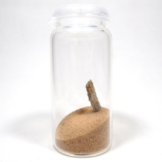 フルグライト 砂漠の砂 閃電岩 雷管石 原石 貫通穴あり サハラ砂漠産 Fulgurite