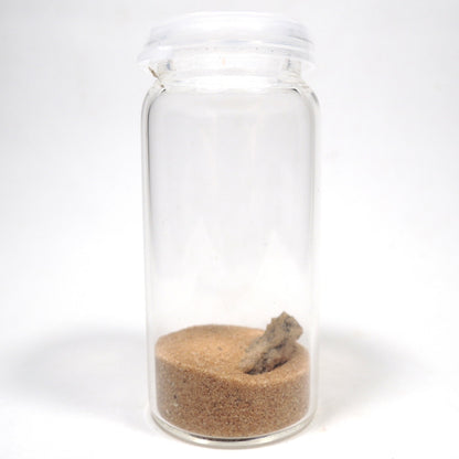 フルグライト 砂漠の砂 閃電岩 雷管石 原石 貫通穴あり サハラ砂漠産 Fulgurite