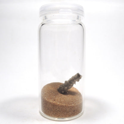 フルグライト 砂漠の砂 閃電岩 雷管石 原石 貫通穴あり サハラ砂漠産 Fulgurite