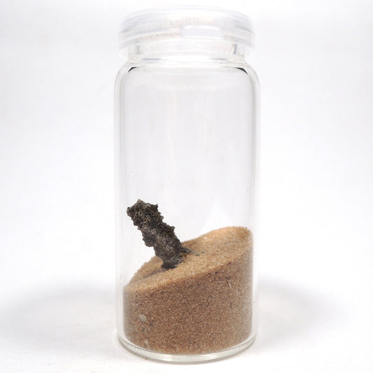 フルグライト 砂漠の砂 閃電岩 雷管石 原石 貫通穴なし サハラ砂漠産 Fulgurite