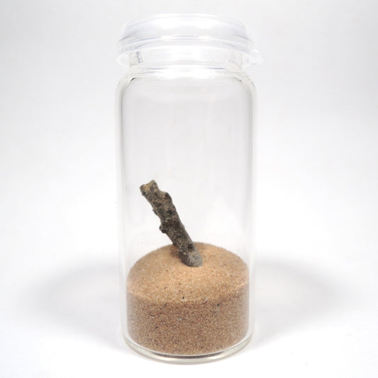 フルグライト 砂漠の砂 閃電岩 雷管石 原石 貫通穴なし サハラ砂漠産 Fulgurite