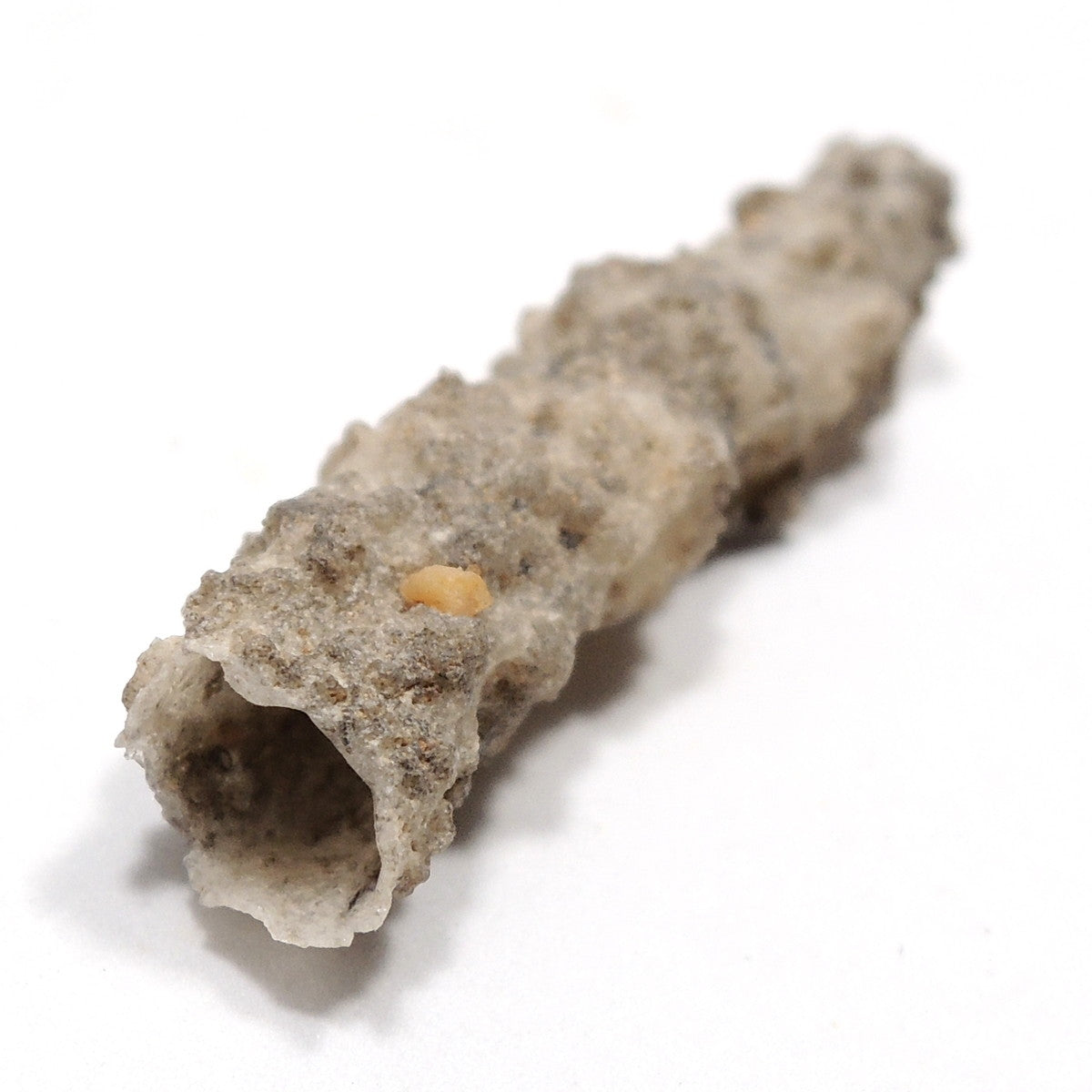 フルグライト 閃電岩 雷管石 原石 貫通穴あり サハラ砂漠産 Fulgurite