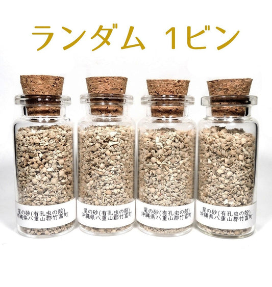 星の砂 1ビン ランダム 星砂 沖縄県竹富町産 ホシズナ 有孔虫殻 star sand