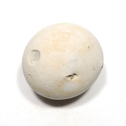 メニライト 原石 フェアリーオパール 珪乳石 こぶり石 スペイン産 Menilite