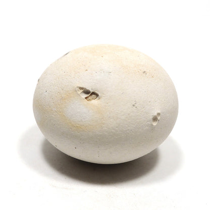 メニライト 原石 フェアリーオパール 珪乳石 こぶり石 スペイン産 Menilite