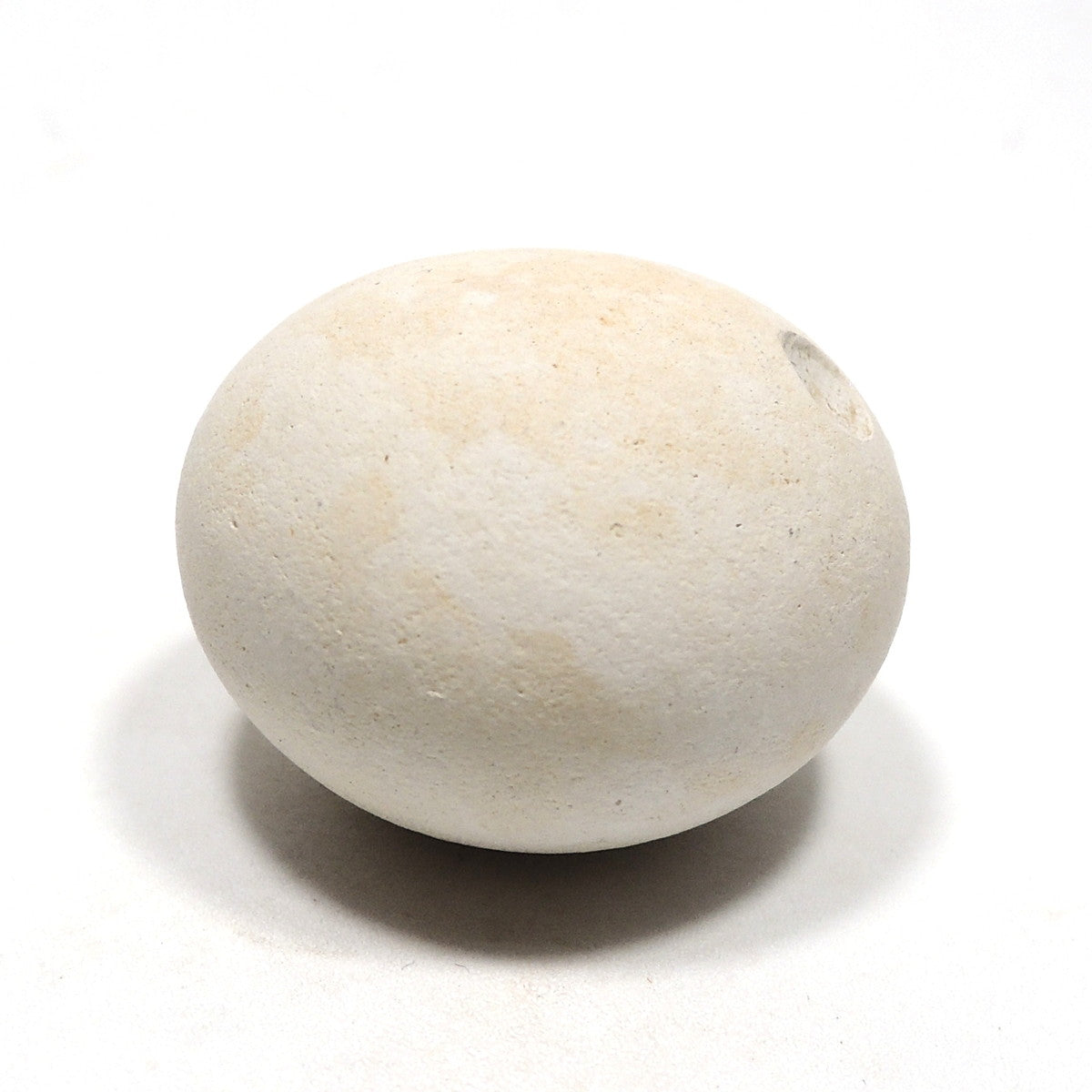 メニライト 原石 フェアリーオパール 珪乳石 こぶり石 スペイン産 Menilite