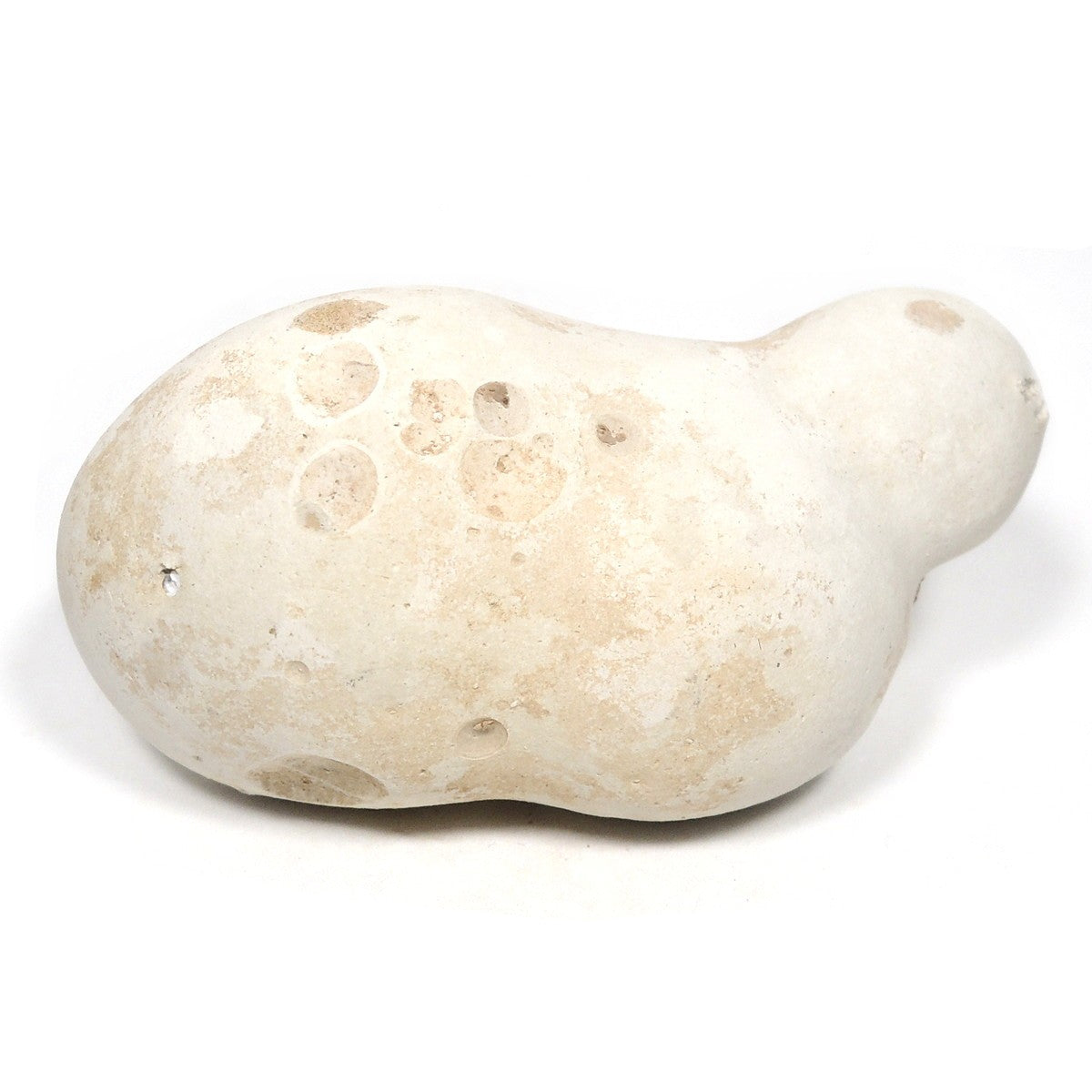 メニライト 原石 フェアリーオパール 珪乳石 こぶり石 スペイン産 Menilite