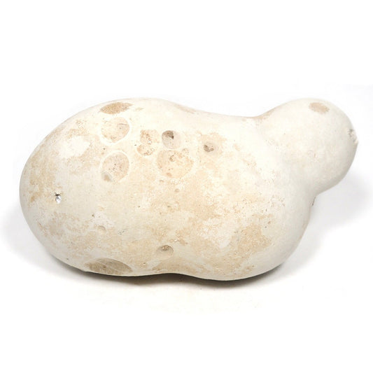 メニライト 原石 フェアリーオパール 珪乳石 こぶり石 スペイン産 Menilite