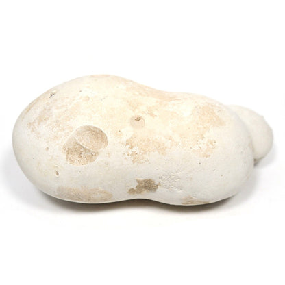 メニライト 原石 フェアリーオパール 珪乳石 こぶり石 スペイン産 Menilite