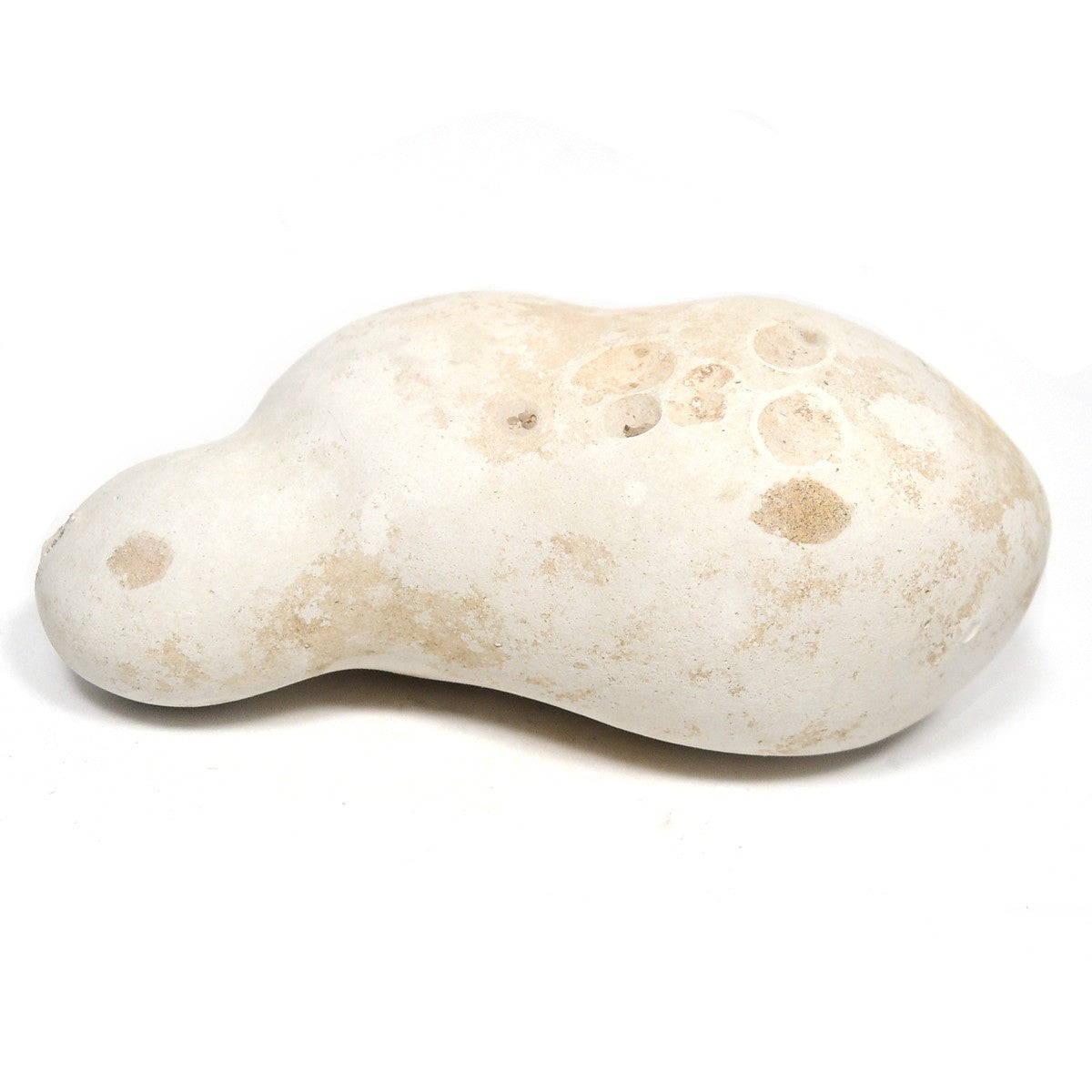 メニライト 原石 フェアリーオパール 珪乳石 こぶり石 スペイン産 Menilite