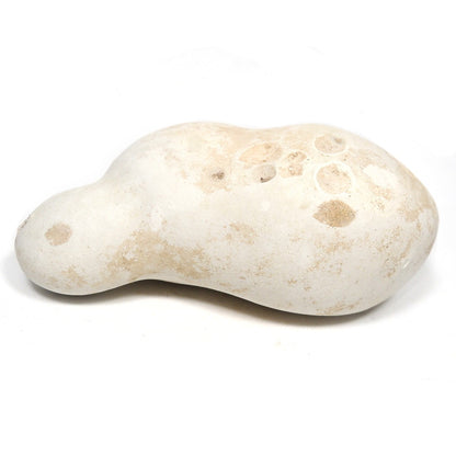 メニライト 原石 フェアリーオパール 珪乳石 こぶり石 スペイン産 Menilite