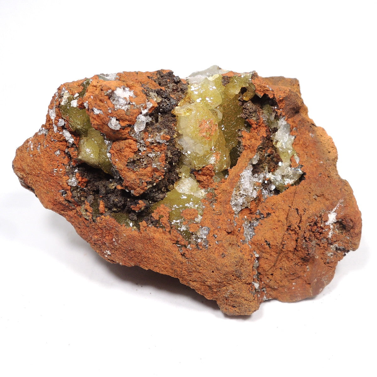 鉱物標本　インパクト礫岩　 岩石・造岩鉱物標本22種｜化石販売・鉱物販売の東京サイエンス