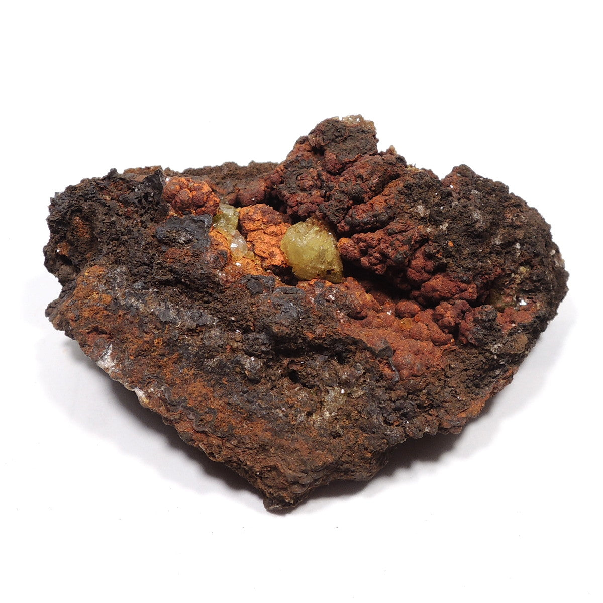 鉱物・岩石・化石 – 鉱物標本 天然石 金星舎