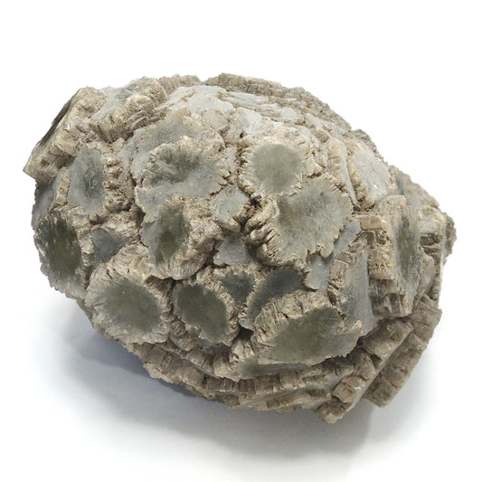 松代鉱山産 霰石 約9.1kg 大型標本 島根県大田市産 国産鉱物 ミュージアムサイズ Aragonite from the Matsushiro Mine