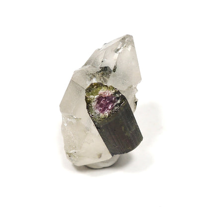 ウォーターメロントルマリン 原石 水晶共生 クォーツ共生 トルマリン 電気石 ブラジル産 Watermelon Tourmaline