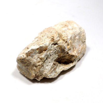 珪化木 ペトリファイドウッド 原石 マダガスカル産 一部ポリッシュ Petrified wood