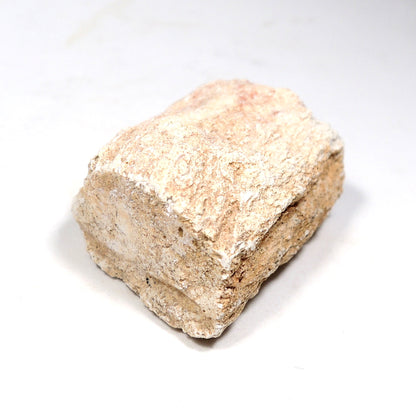 珪化木 ペトリファイドウッド 原石 マダガスカル産 一部ポリッシュ Petrified wood