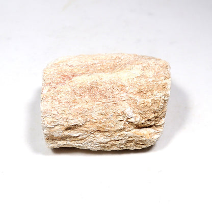 珪化木 ペトリファイドウッド 原石 マダガスカル産 一部ポリッシュ Petrified wood