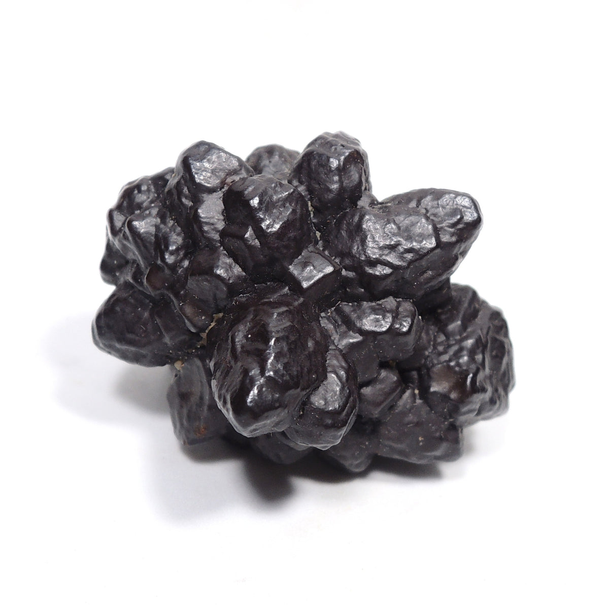 エジプトの星 ゲーサイト マーカサイト仮晶 針鉄鉱 白鉄鉱仮晶 原石 Goethite after Marcasite