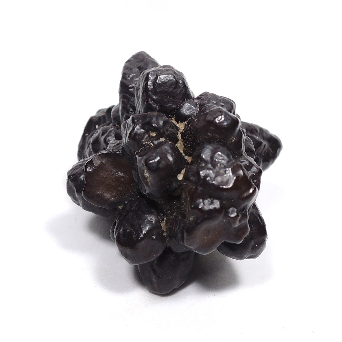 エジプトの星 ゲーサイト マーカサイト仮晶 針鉄鉱 白鉄鉱仮晶 原石 Goethite after Marcasite